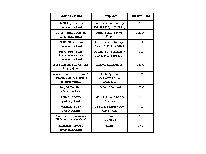 Antibody Name Company Dilution Used SV 40 Tag (Pab 101) mouse monoclonal Santa Cruz Antibody Name Company Dilution Used SV 40 Tag (Pab 101) mouse monoclonal Santa Cruz
