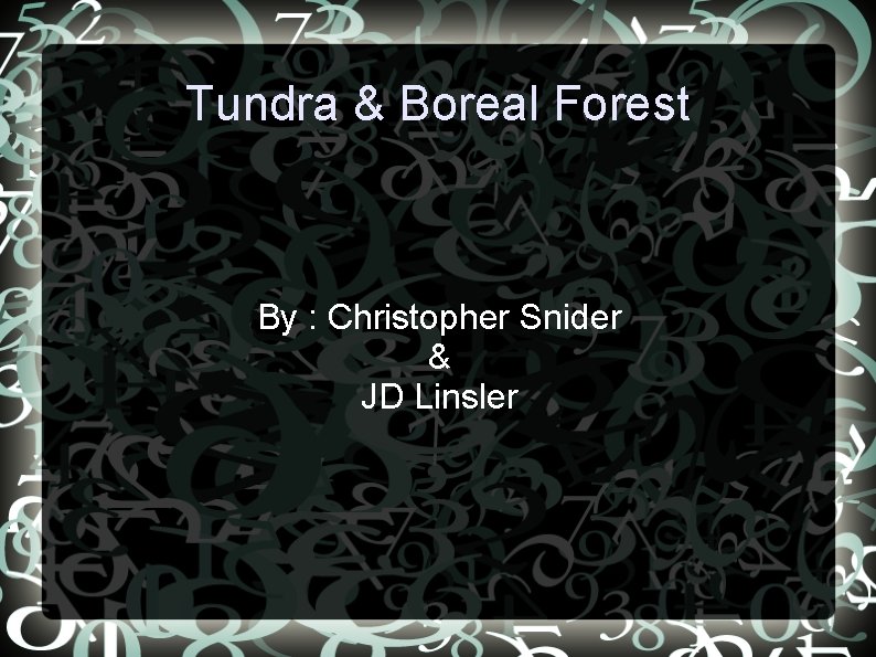 Tundra & Boreal Forest By : Christopher Snider & JD Linsler 