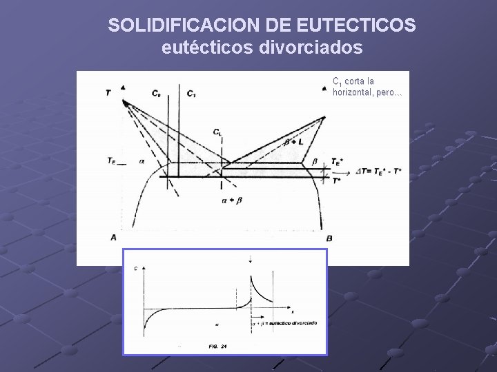 SOLIDIFICACION DE EUTECTICOS eutécticos divorciados C 1 corta la horizontal, pero… 