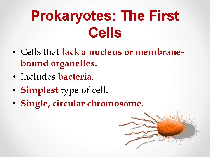 Prokaryotes: The First Cells • Cells that lack a nucleus or membranebound organelles. • Prokaryotes: The First Cells • Cells that lack a nucleus or membranebound organelles. •
