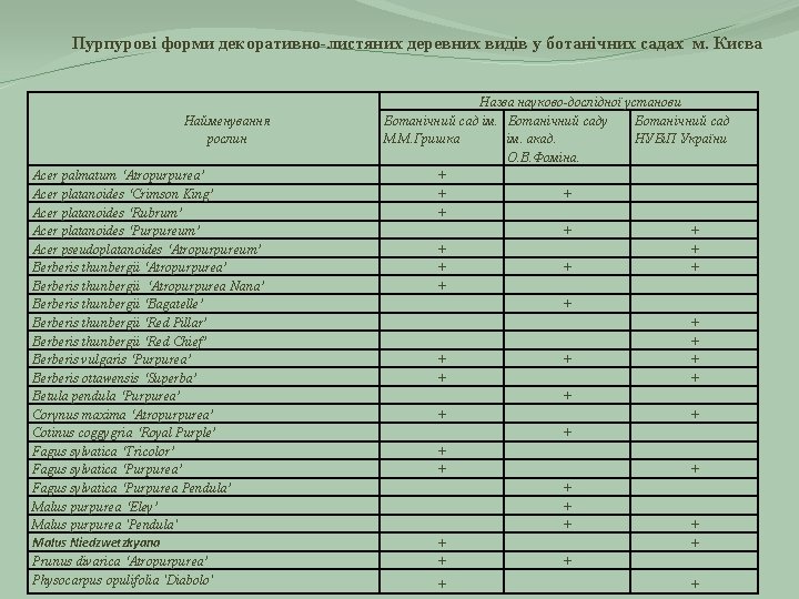 Пурпурові форми декоративно-листяних деревних видів у ботанічних садах м. Києва Найменування рослин Acer palmatum