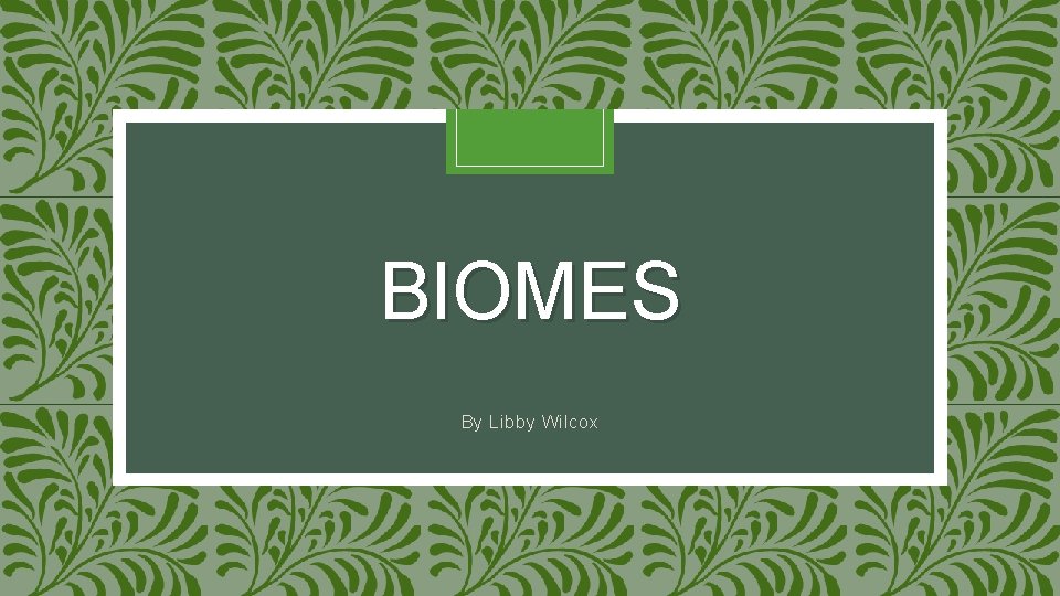 BIOMES By Libby Wilcox 