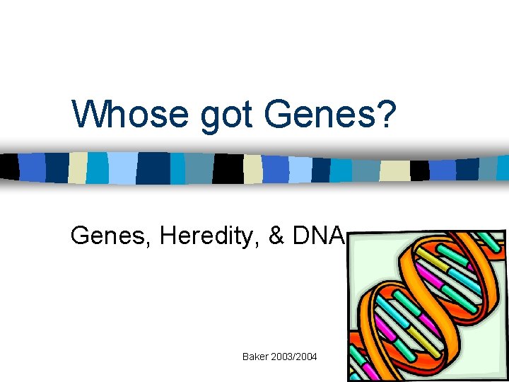 Whose got Genes? Genes, Heredity, & DNA Baker 2003/2004 