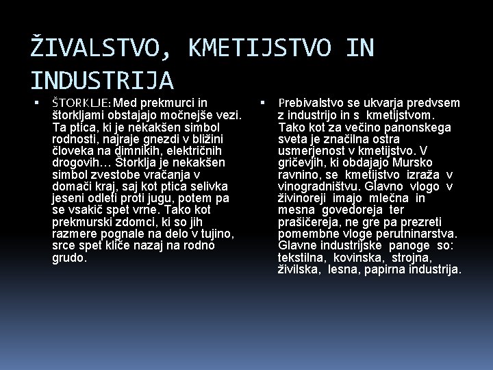 ŽIVALSTVO, KMETIJSTVO IN INDUSTRIJA ŠTORKLJE: Med prekmurci in štorkljami obstajajo močnejše vezi. Ta ptica,