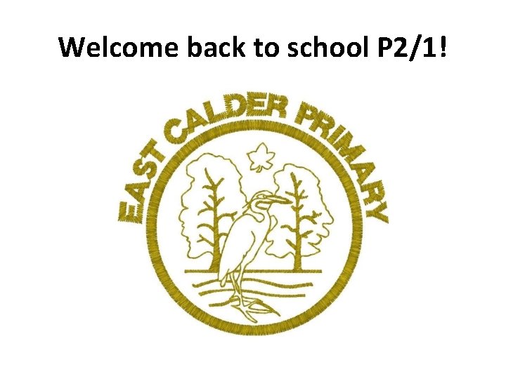 Welcome back to school P 2/1! 