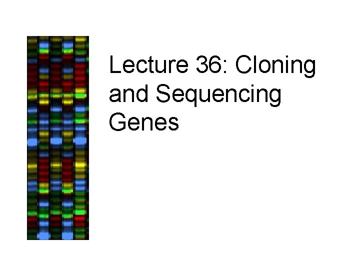 Lecture 36: Cloning and Sequencing Genes 
