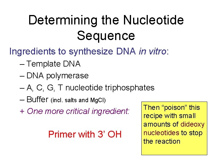 Determining the Nucleotide Sequence Ingredients to synthesize DNA in vitro: – Template DNA –