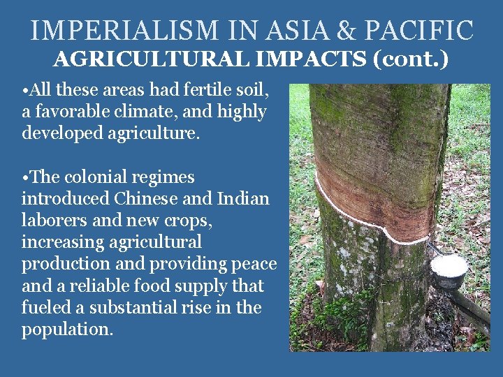 IMPERIALISM IN ASIA & PACIFIC AGRICULTURAL IMPACTS (cont. ) • All these areas had