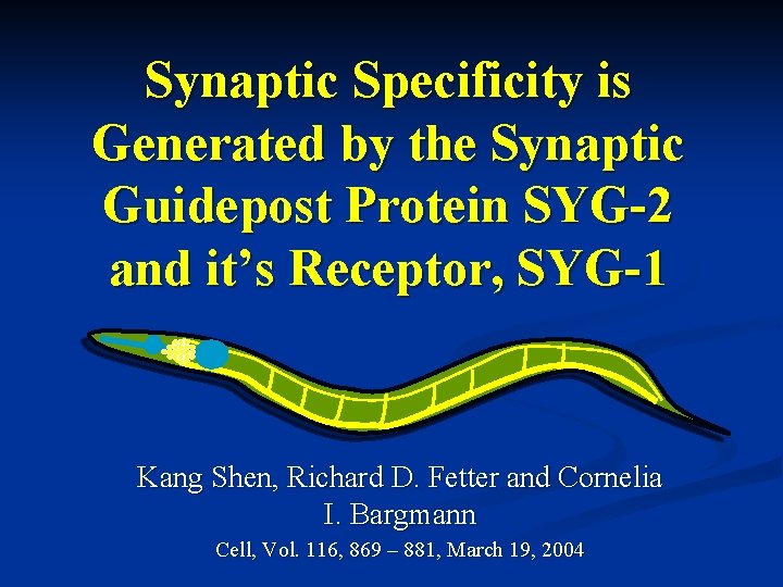 Synaptic Specificity is Generated by the Synaptic Guidepost Protein SYG-2 and it’s Receptor, SYG-1