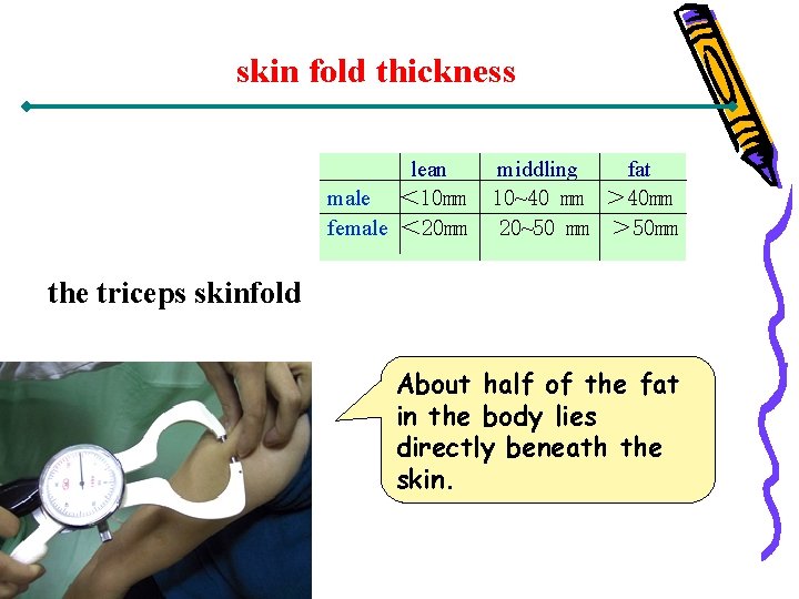 skin fold thickness lean male ＜ 10 mm female ＜ 20 mm middling fat