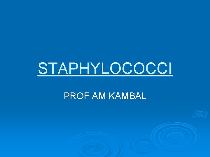STAPHYLOCOCCI PROF AM KAMBAL 