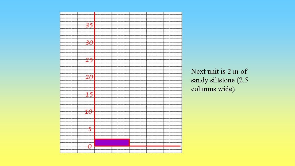 Next unit is 2 m of sandy siltstone (2. 5 columns wide) 