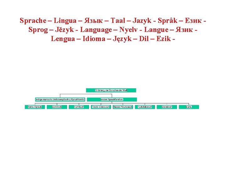 Jezyk Language Sprache Lingua Taal Jazyk Sprk Sprog Jzyk Language