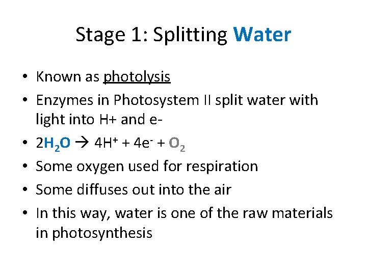 Stage 1: Splitting Water • Known as photolysis • Enzymes in Photosystem II split