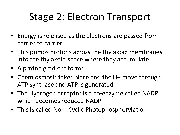 Stage 2: Electron Transport • Energy is released as the electrons are passed from