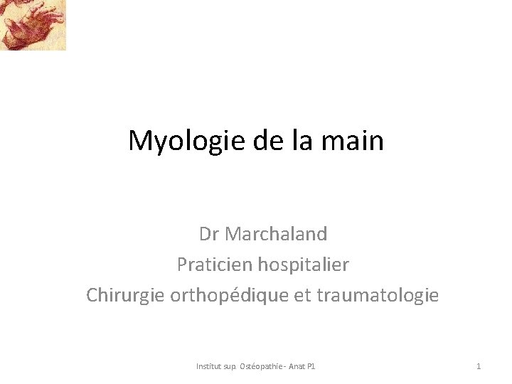 Myologie de la main Dr Marchaland Praticien hospitalier Chirurgie orthopédique et traumatologie Institut sup.