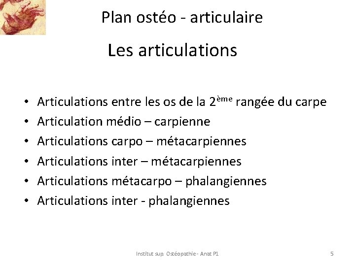 Plan ostéo - articulaire Les articulations • • • Articulations entre les os de