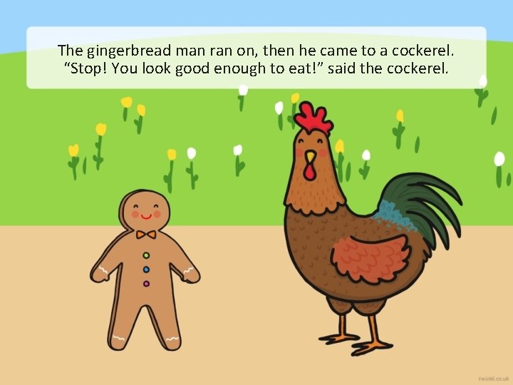 The gingerbread man ran on, then he came to a cockerel. “Stop! You look