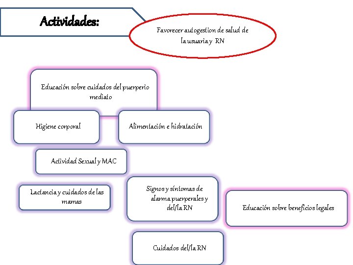 Actividades: Favorecer autogestion de salud de la usuaria y RN Educación sobre cuidados del