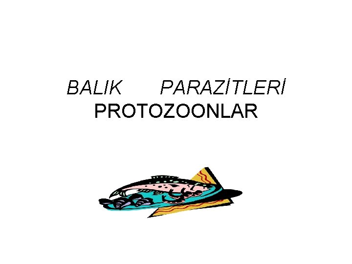BALIK PARAZİTLERİ PROTOZOONLAR 