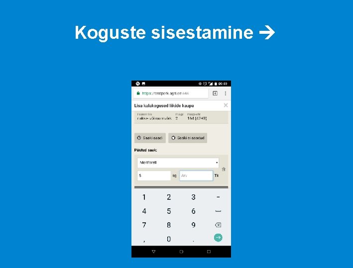 Koguste sisestamine 