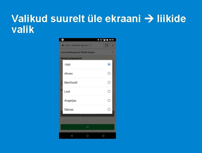 Valikud suurelt üle ekraani liikide valik 