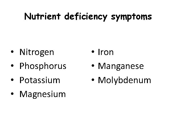 Nutrient deficiency symptoms • • Nitrogen Phosphorus Potassium Magnesium • Iron • Manganese •