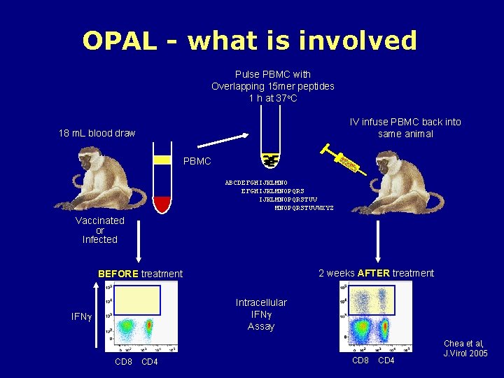 OPAL - what is involved Pulse PBMC with Overlapping 15 mer peptides 1 h