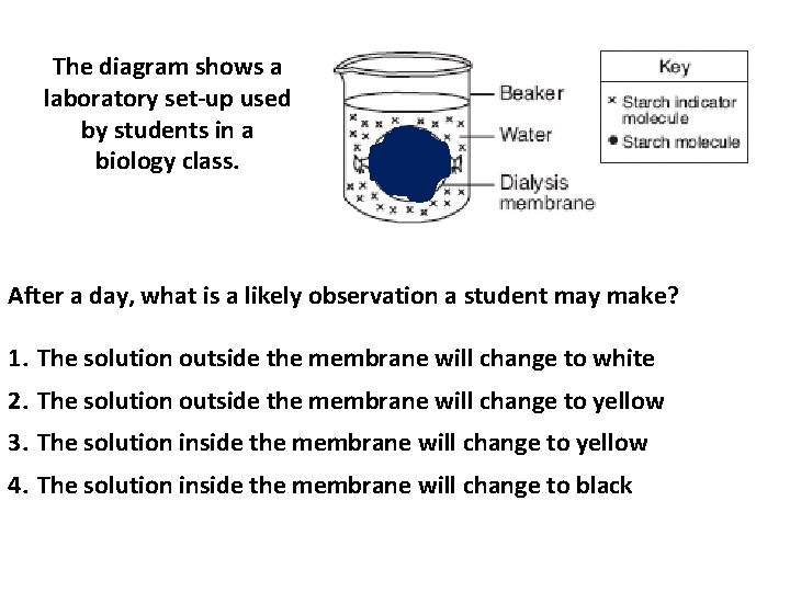 The diagram shows a laboratory set-up used by students in a biology class. After