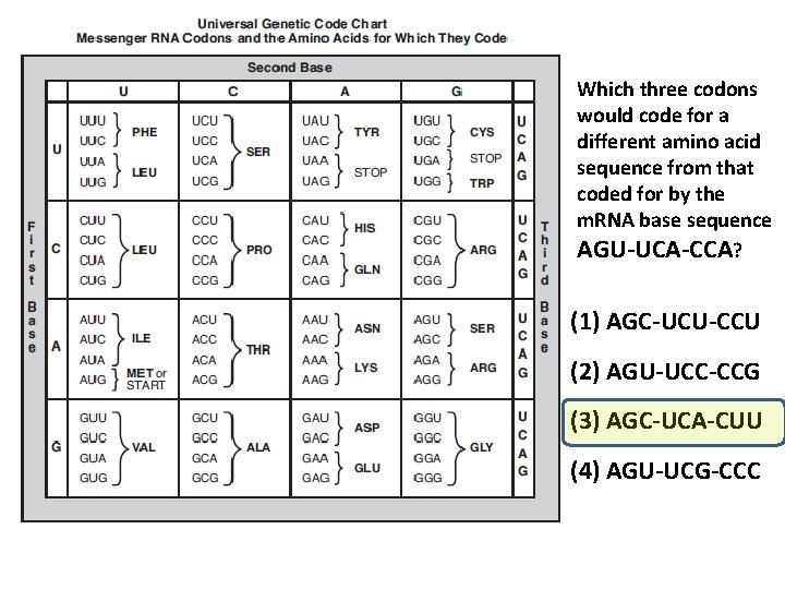 Which three codons would code for a different amino acid sequence from that coded