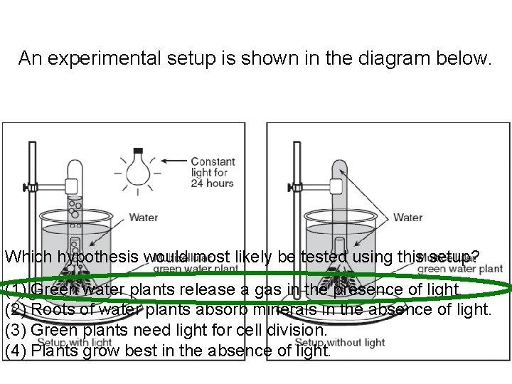 An experimental setup is shown in the diagram below. Which hypothesis would most likely