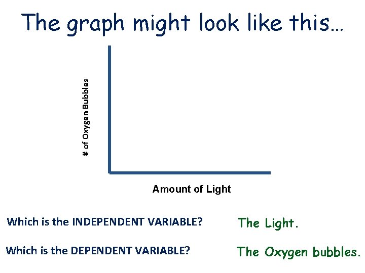 # of Oxygen Bubbles The graph might look like this… Amount of Light Which