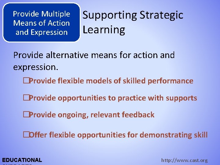 Provide Multiple Means of Action and Expression Supporting Strategic Learning Provide alternative means for