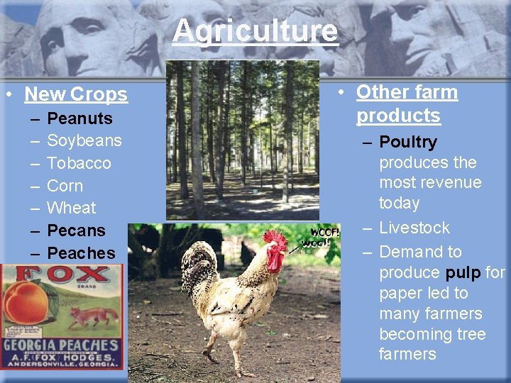 Agriculture • New Crops – – – – Peanuts Soybeans Tobacco Corn Wheat Pecans