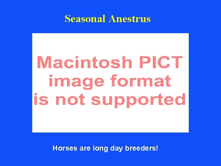Seasonal Anestrus Horses are long day breeders! 