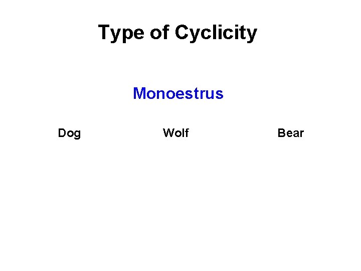 Type of Cyclicity Monoestrus Dog Wolf Bear 