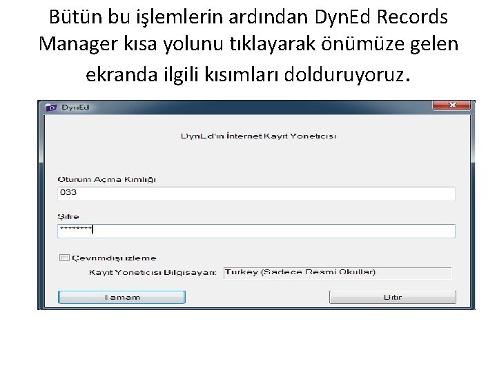 Bütün bu işlemlerin ardından Dyn. Ed Records Manager kısa yolunu tıklayarak önümüze gelen ekranda