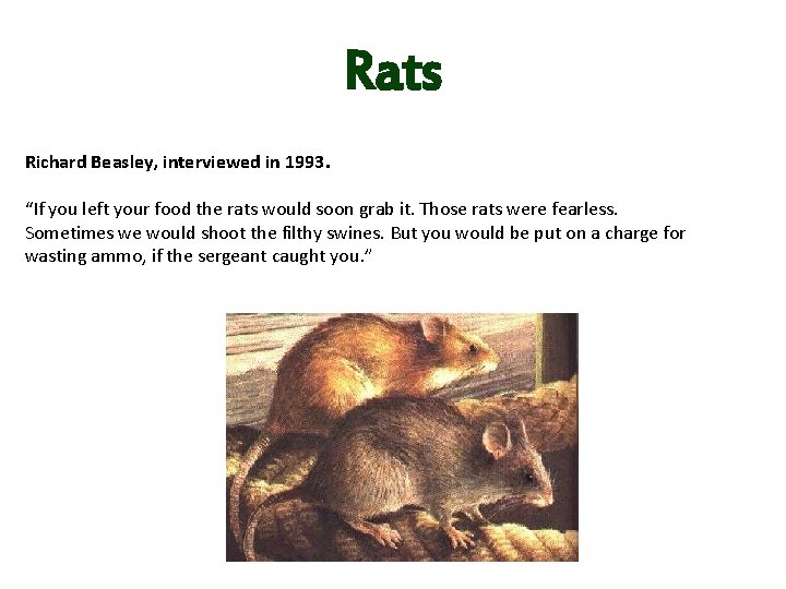 Rats Richard Beasley, interviewed in 1993. “If you left your food the rats would