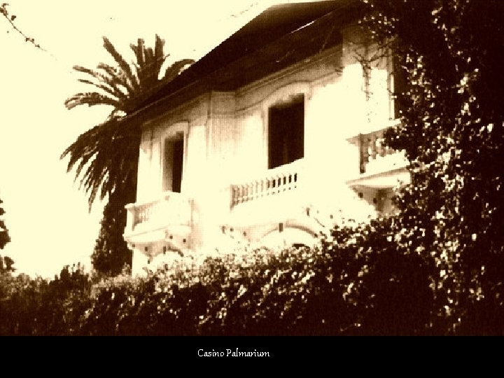 Casino Palmarium Casino Palmarium