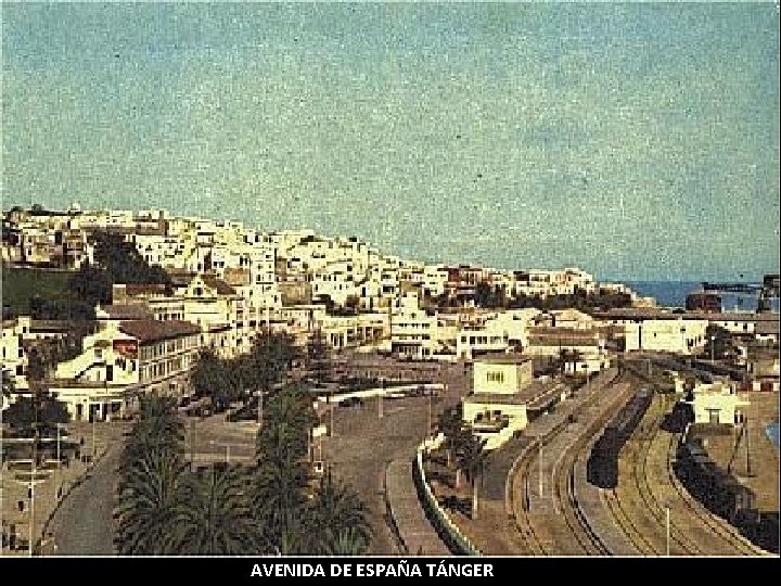 AVENIDA DE ESPAÑA TÁNGER AVENIDA DE ESPAÑA TÁNGER