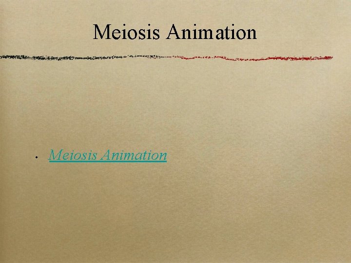Meiosis Animation • Meiosis Animation 