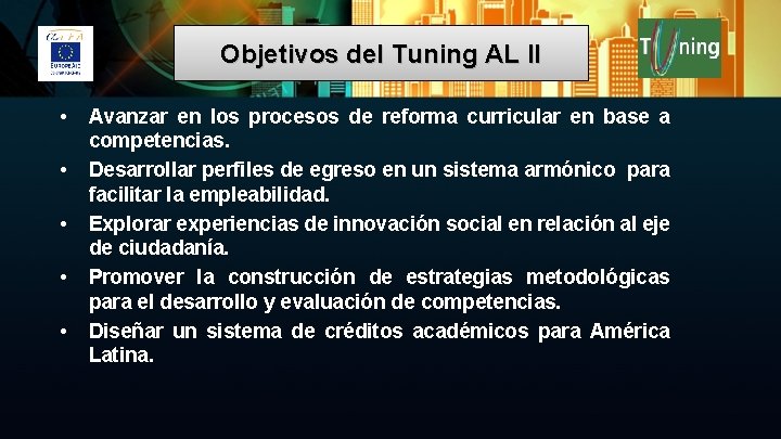 Objetivos del Tuning AL II • • • Avanzar en los procesos de reforma