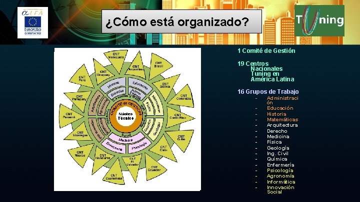 ¿Cómo está organizado? 1 Comité de Gestión 19 Centros Nacionales Tuning en América Latina
