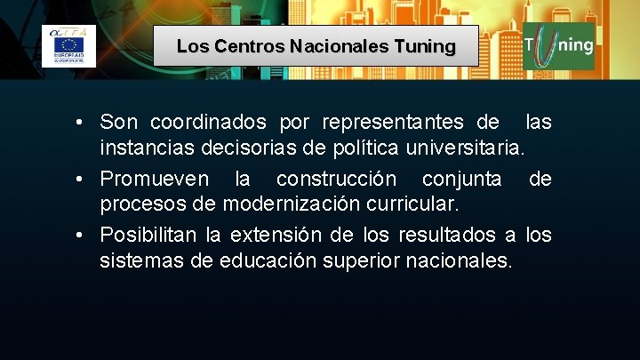 Los Centros Nacionales Tuning • Son coordinados por representantes de las instancias decisorias de