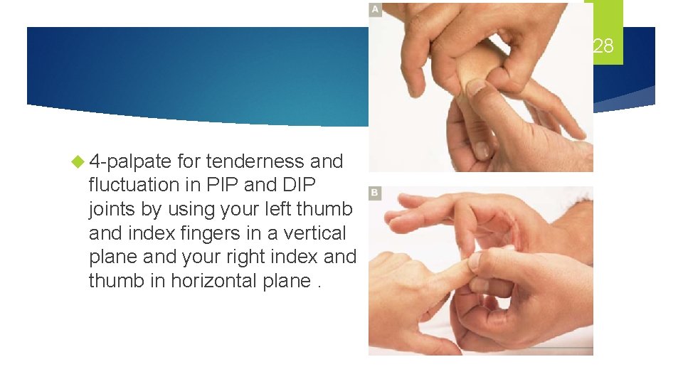 28 4 -palpate for tenderness and fluctuation in PIP and DIP joints by using