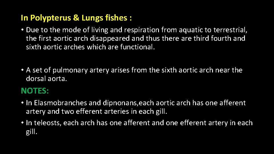 In Polypterus & Lungs fishes : • Due to the mode of living and
