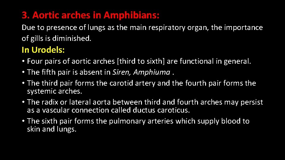 3. Aortic arches in Amphibians: Due to presence of lungs as the main respiratory