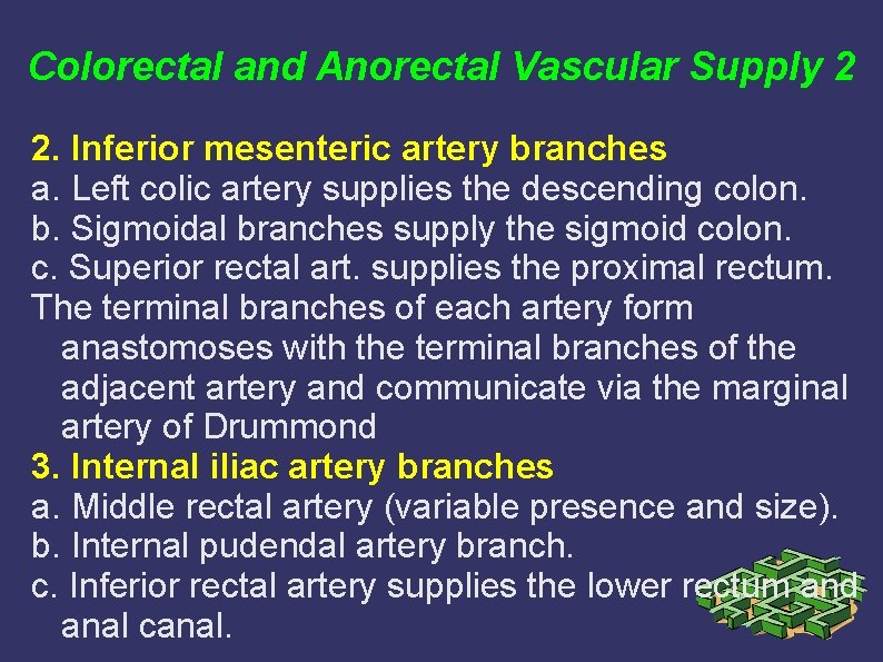 Colorectal and Anorectal Vascular Supply 2 2. Inferior mesenteric artery branches a. Left colic Colorectal and Anorectal Vascular Supply 2 2. Inferior mesenteric artery branches a. Left colic