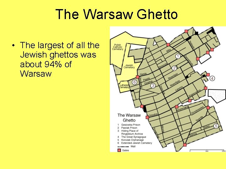 The Warsaw Ghetto • The largest of all the Jewish ghettos was about 94%