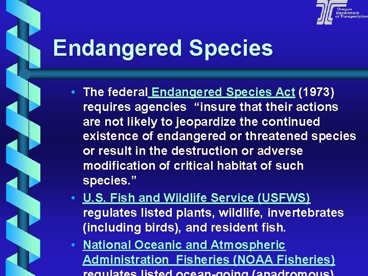 Endangered Species • The federal Endangered Species Act (1973) requires agencies “insure that their